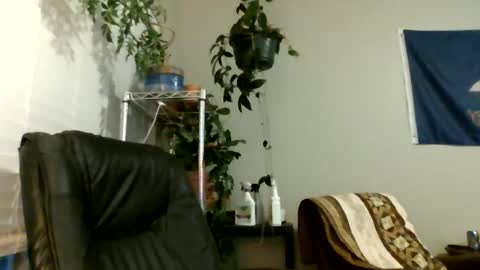 Hottop 1981 online show from 07-06-26, 02:52