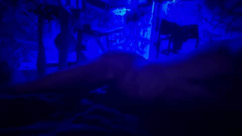 Snapshot of howbowdadareboy33 chatting on 06-11-26, 03:04 ask me online show from 06-11-26, 03:04
