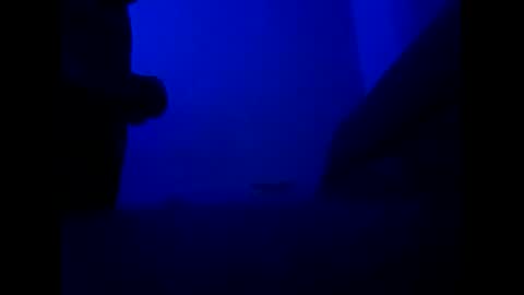 htxsaucehoggn online show from 03-31-26, 11:43