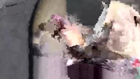 Huge dick online show from 12-02-25, 06:03