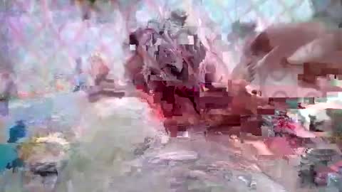 Huge dick online show from 03-08-26, 05:28