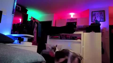 Hugo online show from 02-25-25, 08:41