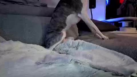 Hugo online show from 03-10-25, 08:12