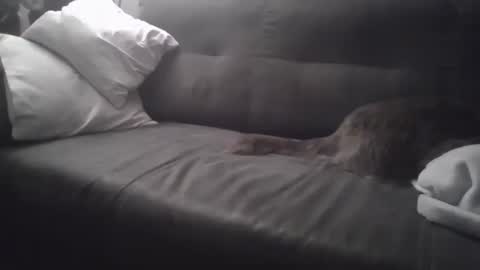 huguit026 online show from 02-04-25, 11:27