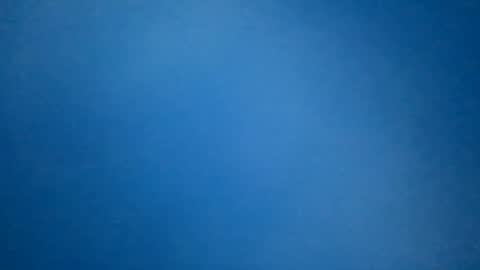 hummelbummel00 online show from 02-11-26, 07:19