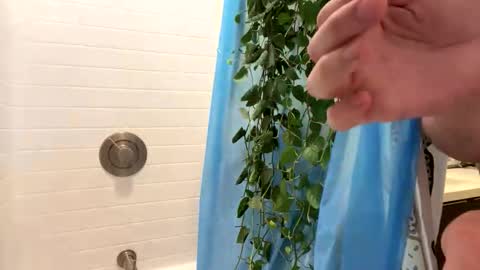 Snapshot of hung_and_horny1005 chatting on 11-24-25, 11:15 hung_and_horny1005 online show from 11-24-25, 11:15