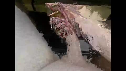 hung_mac0 online show from 04-07-26, 05:02