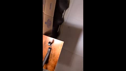 hungitalian40 online show from 02-12-26, 09:37