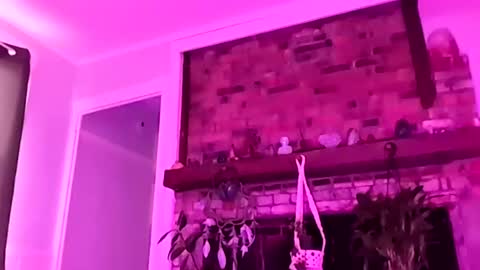 hungitalian40 online show from 06-25-26, 10:31
