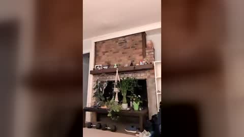 hungitalian40 online show from 07-24-26, 10:24