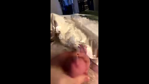hungminer69 online show from 05-28-26, 11:24