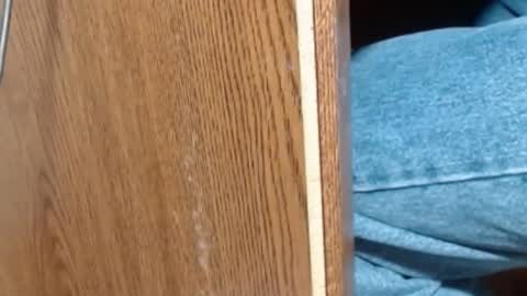 hungsofine online show from 01-08-25, 06:52