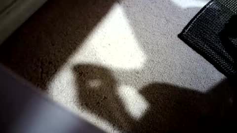 Snapshot of hypeman2323 chatting on 08-02-26, 12:53 Hypeman online show from 08-02-26, 12:53