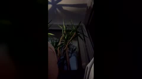 hypervenom369888 online show from 03-07-26, 02:08