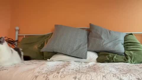 Snapshot of i_love_olive chatting on 10-24-25, 11:12 Olive online show from 10-24-25, 11:12