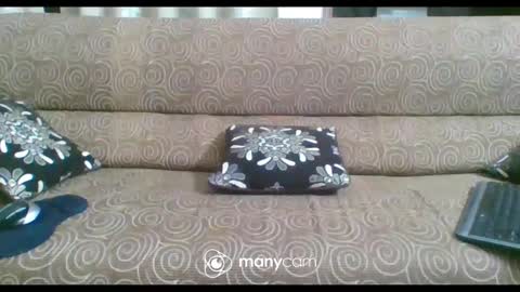 JP online show from 02-21-25, 06:26