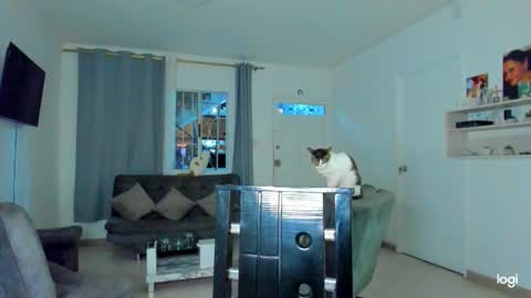 iam_your_fantasy online show from 12-04-25, 12:09