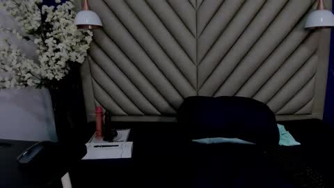 ibbie_ online show from 01-09-26, 12:08