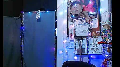 Snapshot of ibpms247 chatting on 01-01-25, 01:48 PMS online show from 01-01-25, 01:48