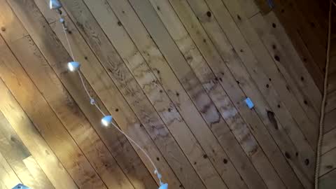 Snapshot of icanmakeyousquirt69 chatting on 03-17-26, 09:18 icanmakeyousquirt69 online show from 03-17-26, 09:18