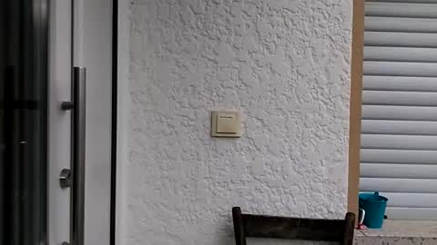 Snapshot of icheinfachich13 chatting on 10-21-25, 08:26 icheinfachich13 online show from 10-21-25, 08:26