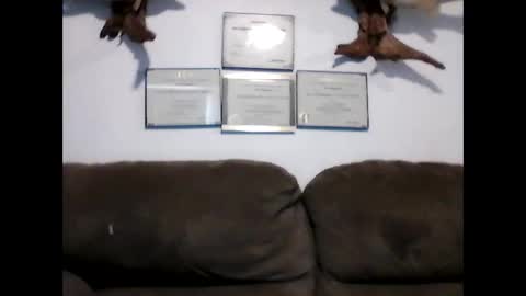 Snapshot of idkwhyidothis348732 chatting on 01-08-25, 08:18 idkwhyidothis348732 online show from 01-08-25, 08:18