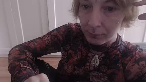 Ifk Donkeys online show from 11-11-25, 10:26