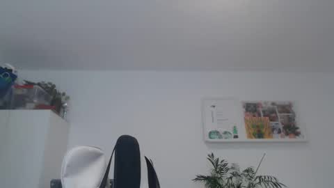 ner d online show from 02-21-25, 08:51