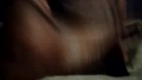 ihktqjtwzczh online show from 02-27-26, 12:05