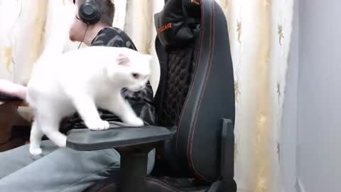 lord online show from 11-07-25, 01:44