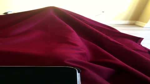 Ninochen online show from 06-15-26, 11:01