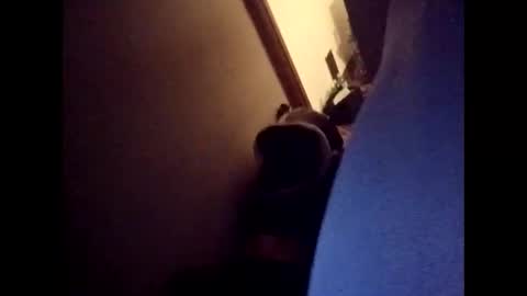 Freakyroofer online show from 12-23-25, 09:40