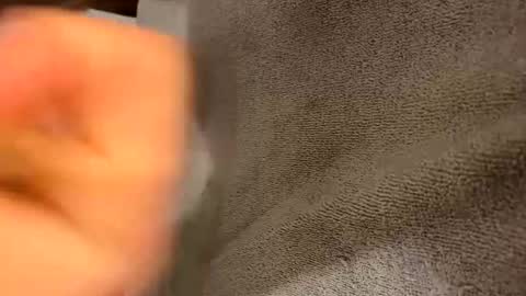 Snapshot of iltjoal69 chatting on 03-05-25, 10:33 iltjoal69 online show from 03-05-25, 10:33