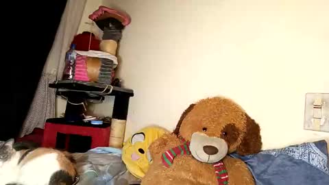 im_dereck_martinez_69 online show from 10-11-25, 06:01