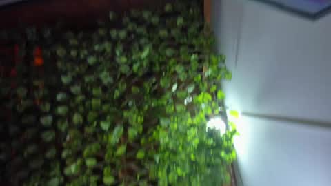 im_xandersmith online show from 05-26-26, 08:38