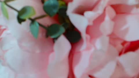 Carrie online show from 01-25-25, 05:07