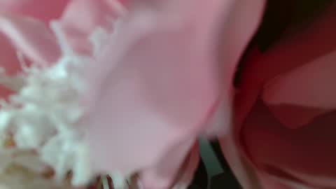 Carrie online show from 02-25-25, 05:25