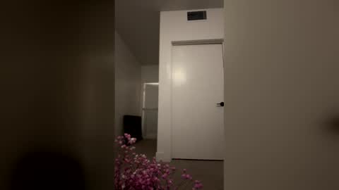 imlightskn online show from 04-09-26, 06:13