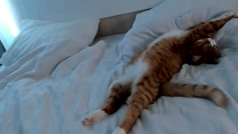 my name Imo  Fansly  online show from 02-20-25, 09:00