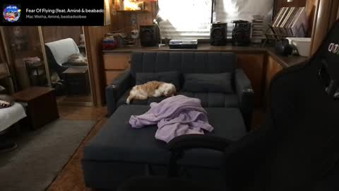 Carter online show from 03-11-26, 05:35