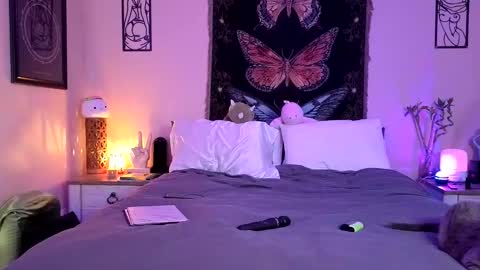 Indigo Bay online show from 04-26-26, 11:46