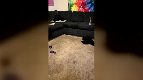 Snapshot of infamouslibby chatting on 02-08-26, 10:18 InfamousLibby Linktree online show from 02-08-26, 10:18