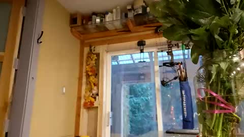 Snapshot of info_chat chatting on 02-14-26, 12:18 sir. Grummps online show from 02-14-26, 12:18