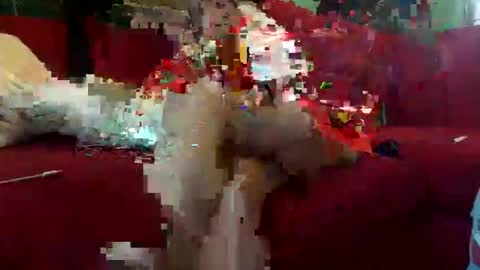 INMIRREY online show from 05-08-26, 08:41