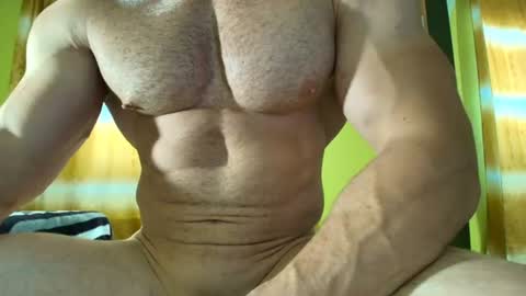 Snapshot of insanephisique chatting on 07-29-26, 12:14 insanephisique online show from 07-29-26, 12:14