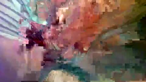 Snapshot of ipuck55 chatting on 12-14-24, 08:18 ipuck55 online show from 12-14-24, 08:18