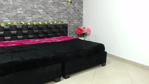 Snapshot of iris_joi chatting on 01-27-25, 03:47 Iirs online show from 01-27-25, 03:47