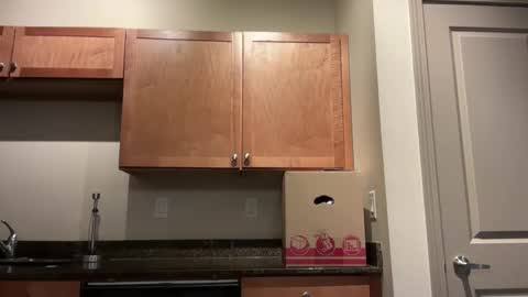 irissweets online show from 04-10-26, 07:13