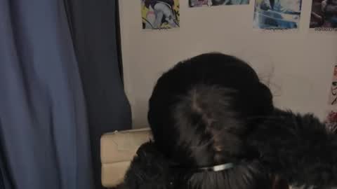 isa 3 online show from 03-03-25, 02:47