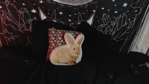    online show from 01-12-25, 03:39